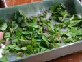 Feuilles de betteraves coupées dans un plat en métal. On se demande si peut-on manger les feuilles de betteraves crues.