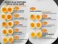 Guide pour la cuisson des œufs durs : différents temps pour des textures variées, du jaune coulant au jaune complètement cuit.