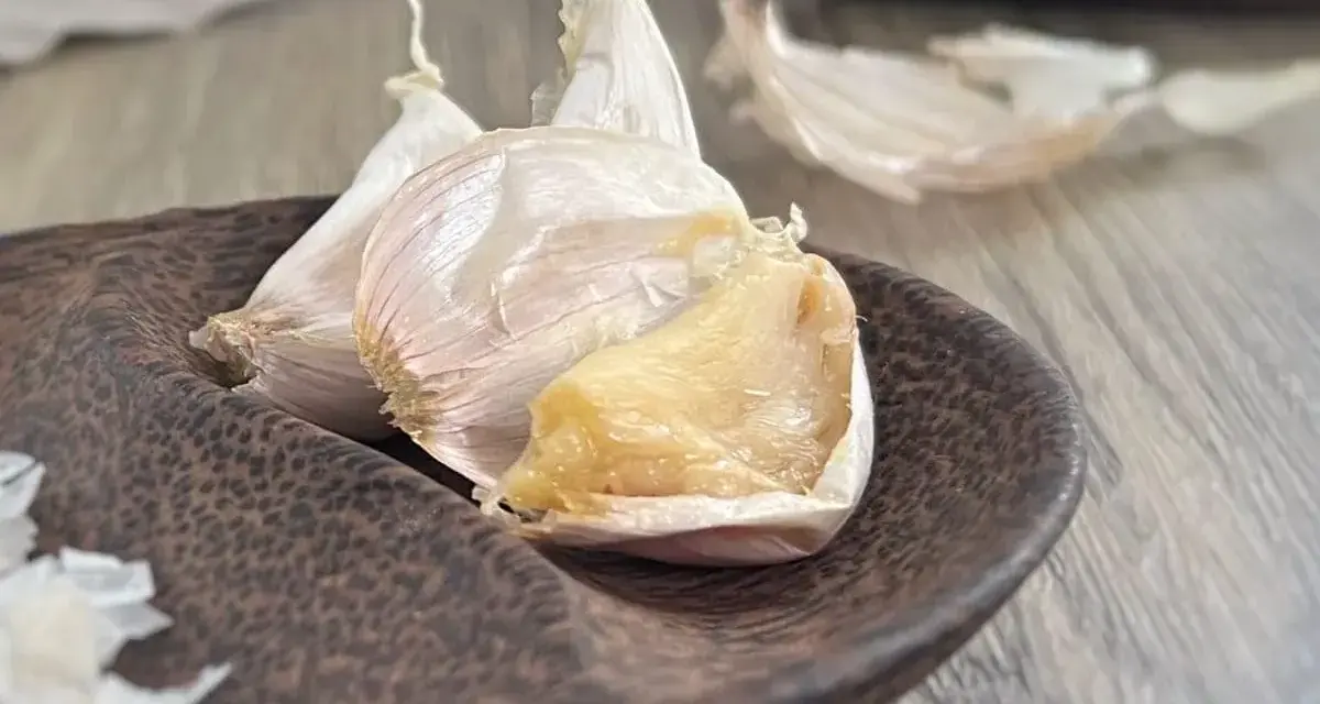 Ail confit, prêt à être utilisé. Délicieux pour comment faire de l'ail confit.