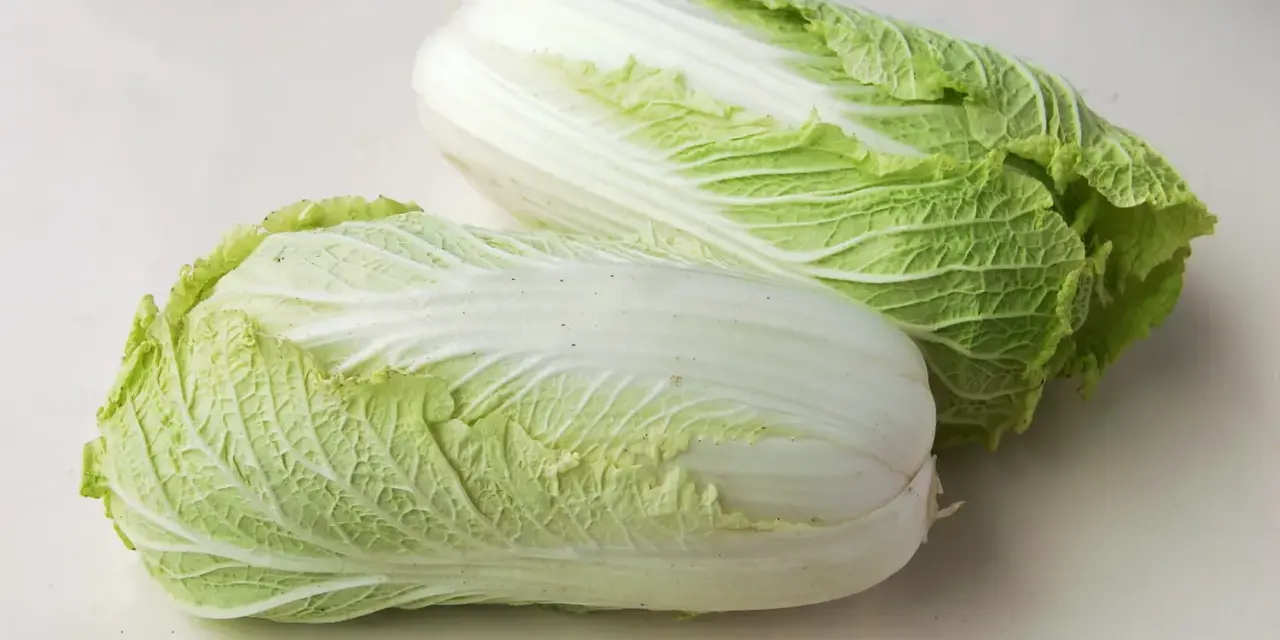 Deux choux chinois frais, aux feuilles vertes et blanches, prêts à être cuisinés.