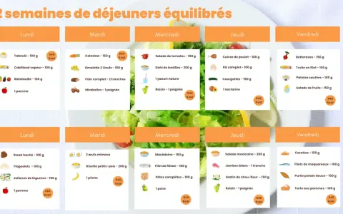 Menus de deux semaines pour manger au bureau sainement. Chaque jour propose des options équilibrées avec leurs calories.