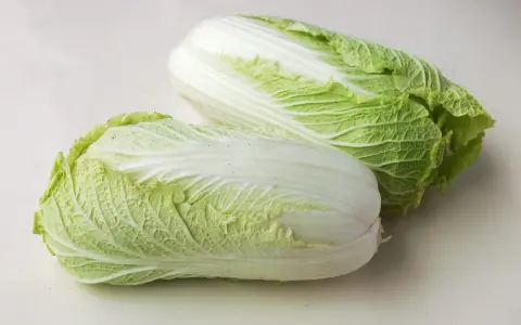 Deux choux chinois frais, aux feuilles vertes et blanches, prêts à être cuisinés.