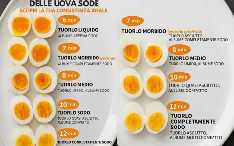 Guide pour la cuisson des œufs durs : différents temps pour des textures variées, du jaune coulant au jaune complètement cuit.