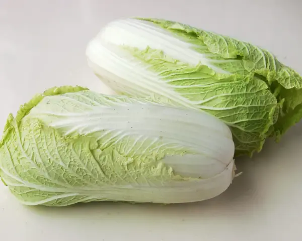 Deux choux chinois frais, aux feuilles vertes et blanches, prêts à être cuisinés.