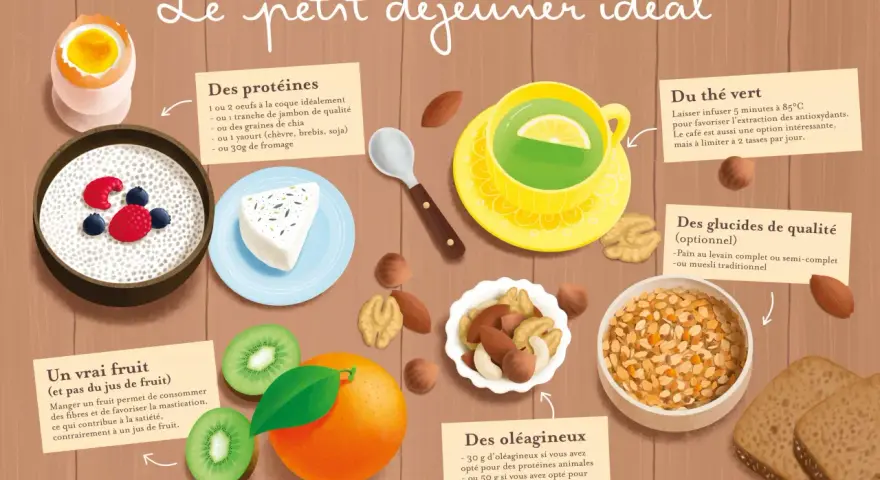 Un petit déjeuner idéal : protéines (œufs, fromage), fruits (orange, kiwi), oléagineux, glucides (pain, muesli) et thé vert.